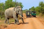 Adventure Tour in Sri Lanka (17 Days)
