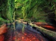 Find a hidden Glen in Scotland's woods