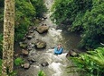 Ayung River Rafting in Ubud including Buffet Lunch and Transfers