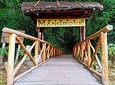 Bintan Mangrove Discovery Tour
