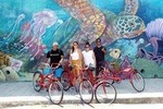 Playa del Carmen Bike Art Tour