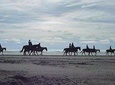 best tours ensenada