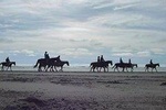 best tours ensenada
