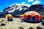 8 days Lemosho route Climbing Mt. Kilimanjaro