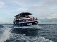 Whale Watching Experience in Mirissa