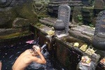 Best Of UBUD : Holy Water Temple & Waterfall