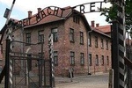 One day tour to Auschwitz-Birkenau & Salt Mine from Wroclaw with private driver
