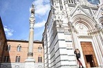 The 17 Fantastic Animals of Siena