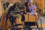Carriage tour in the historic center of Lucca