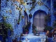 Chefchaouen Day Trip! The Blue Pearl