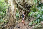 Much More to See of Sydney Private Tour