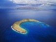 Molokini Crater and Turtle Town Snorkeling Tour from Ma'alaea Harbor