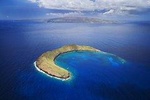 Molokini Crater and Turtle Town Snorkeling Tour from Ma'alaea Harbor
