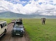 4 Days Manyara, Serengeti and Ngorongoro ( 2 days in Serengeti)