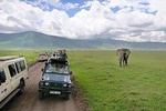 4 Days Manyara, Serengeti and Ngorongoro ( 2 days in Serengeti)