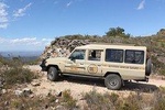 Addo Elephant National Park 4x4 Tour Kabouga Section - An Amazing Diversity