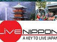 Private Full Day Sightseeing Tour to Mount Fuji and Hakone