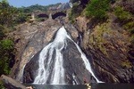 Waterfall & Plantation