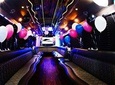 Party Bus & Dancer for 3 hours in Vilnius