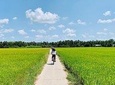 4 days Cycling trip Off the Beaten Tracks in the Mekong Delta
