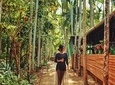 CULTURAL & HISTORIC DAY TOUR ATTRACTIONS - Churches, Temples & Spice Plantation