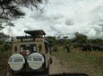 3 Days Safari to lake manyara,Ngorongoro Crater and Tarangire