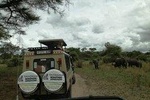 3 Days Safari to lake manyara,Ngorongoro Crater and Tarangire