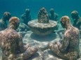 All Inclusive Caribbean adventure, reef snorkeling with Food and Drinks