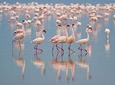 Full Day Bundala Safari with Picnic Lunch from Hambantota Harbour 