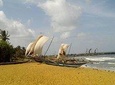 Round tour of Sri Lanka in a Bus.