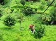 Zip Line in Punta Cana