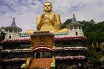 10 Day Round tour In Sri Lanka