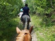 Horseback riding adventure tour through Brasov landscape