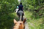 Horseback riding adventure tour through Brasov landscape