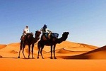 10 Days Tour From Casablanca, Morocco