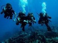 Padi Advanced open Water Diver Courses (Start at Ko Kut)