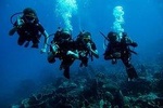 Padi Advanced open Water Diver Courses (Start at Ko Kut)