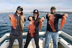 Private Half-Day San Diego Fishing Trip for up to 4 People
