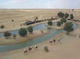 Dubai Morning Heritage Safari by Vintage G Class & Al Marmoom Bedouin Experience