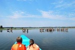Day Trip To Lake Naivasha From Nairobi