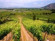Santiago Full day tour to Colchahua Valley, include entraces