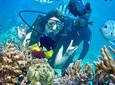 Half Day Private Diving Tour Nha Trang