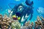 Half Day Private Diving Tour Nha Trang