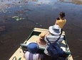 Private 1-Hour Airboat Tour of Miami Everglades