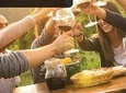 Franschoek wine tour