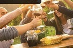 Franschoek wine tour