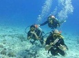 Padi Advanced open Water Diver Courses (Start at Koh Chang)