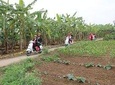 Half Day Hanoi Vespa Countryside Tour With Female Riders