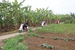 Half Day Hanoi Vespa Countryside Tour With Female Riders