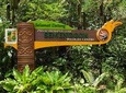 Kuching Semenggoh Wildlife Centre Tour